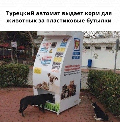 Турецкая компания Pugedon установила в Стамбуле автоматы, которые за пластиковые бутылки выдают ...