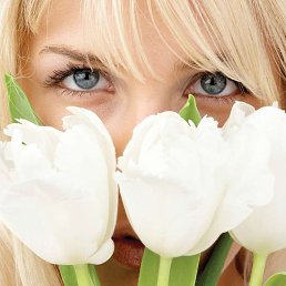 ����, �������