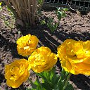 ���� ���������, ����������� - ��������� 13 ��� 2021 � ������ ������ ��������