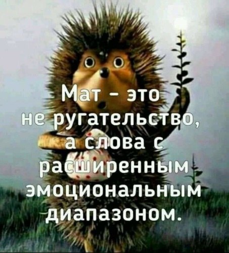   ! - 1  2021  21:07