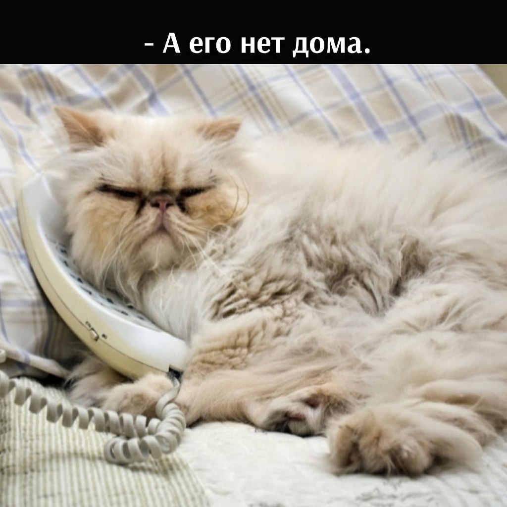       - 9  2021  10:30 - 2