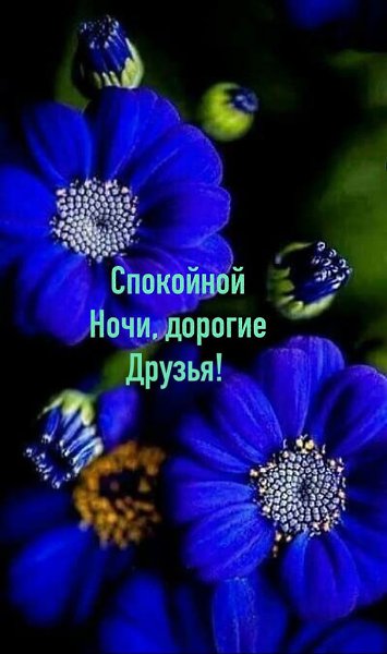   ,    . - 24  2021  22:19