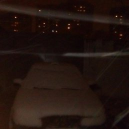 �����, �������, 41 ���