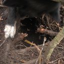 ����� �� ������� �� ������� ���� ����������