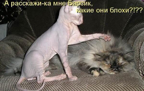    - 19  2021  23:38