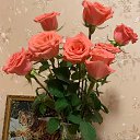 ���� ��������, �������, 55 ��� - ��������� 13 ������ 2022 � ������ ���� ����������