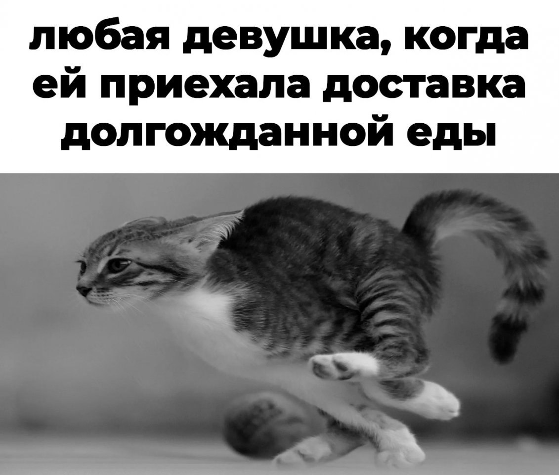  ,        ,   