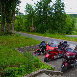 ����, ������, 40 ���