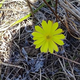 ������, ����, 47 ���