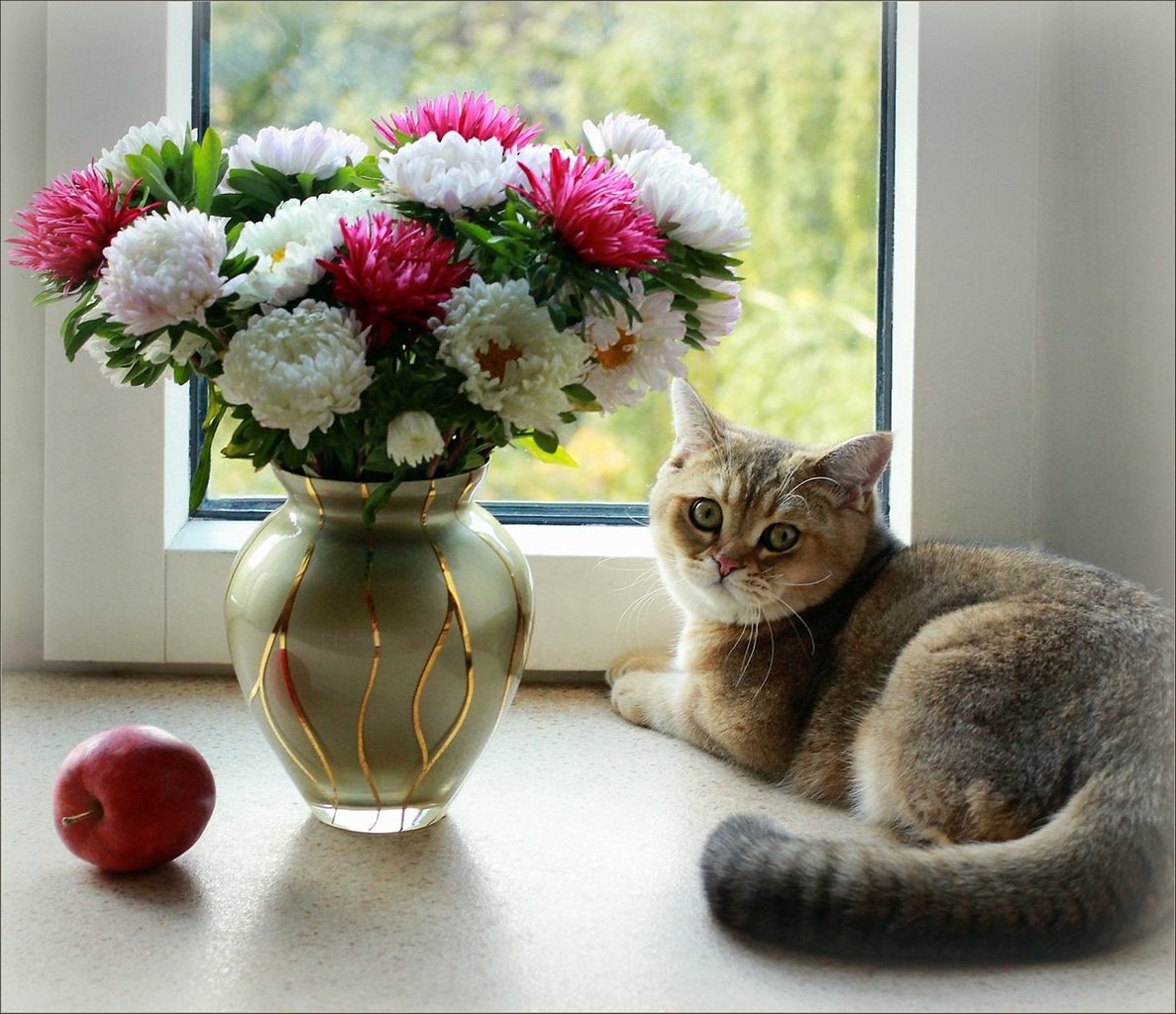 Котенок любит играть с цветами. Кошечка с цветами. Цветы на подоконнике. Котенок с букетом цветов. Цветы в вазе на окне.