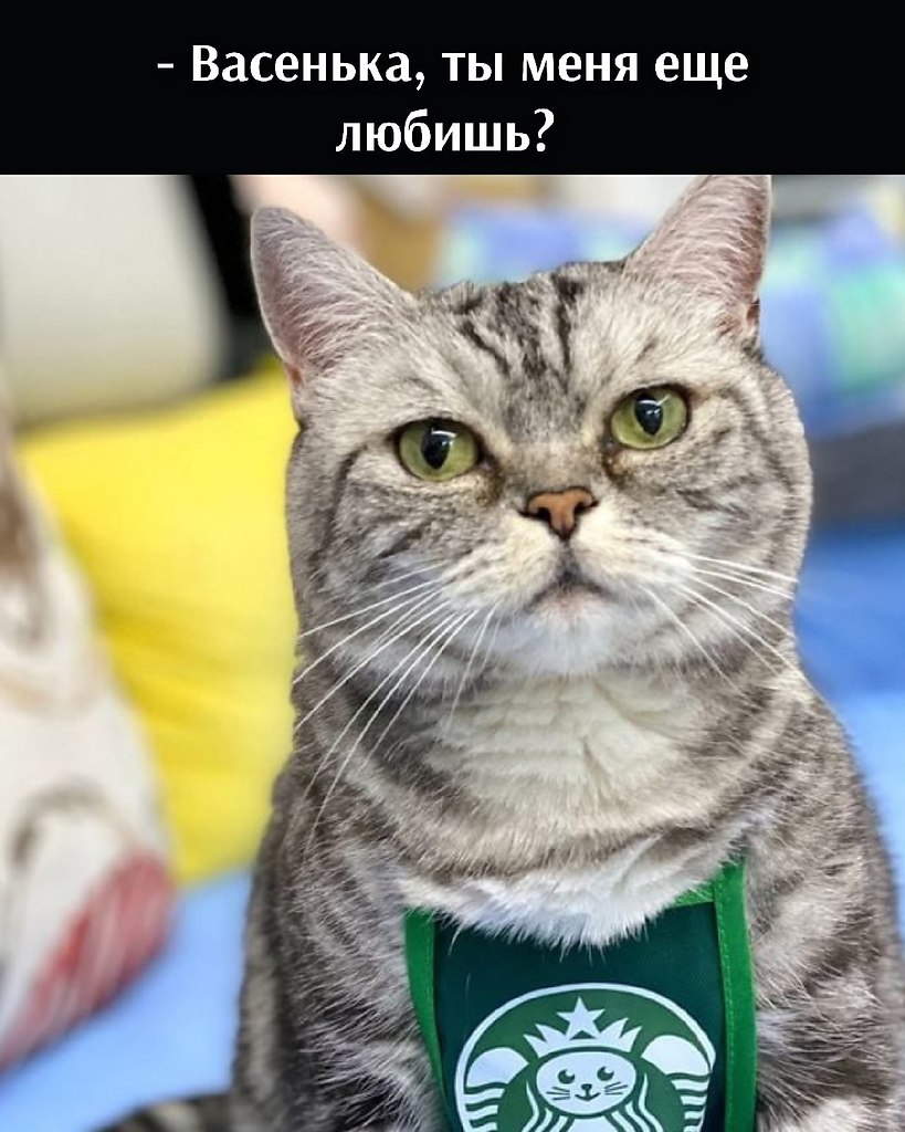       - 15  2021  13:14