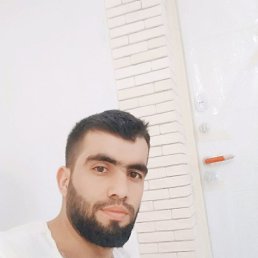 �����, ������, 37 ���