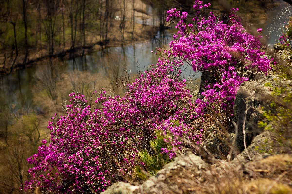 10  :  ,       .  ... - 8