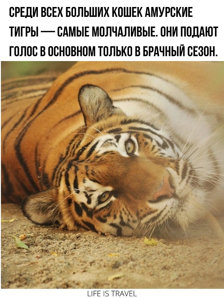      - 4