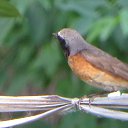  ,  -  2  2021      2019