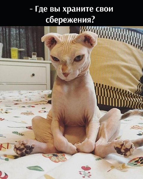       - 21  2021  11:01