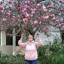 ���� 04.2021� �� ������� ���� ����������