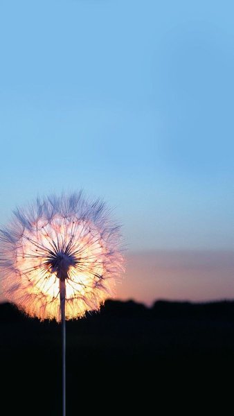 ����������� - 20 ������ 2021 � 20:17 - 2