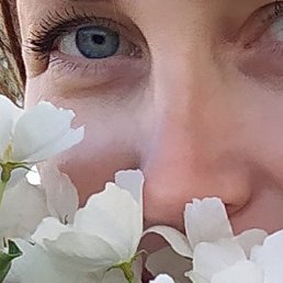 ����, �����