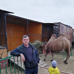 ���� ������, �������, 53 ���� - ��������� 8 ������� 2021