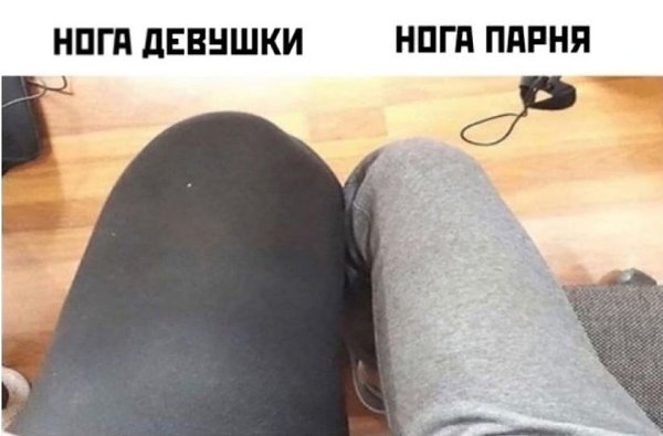  .     - 3