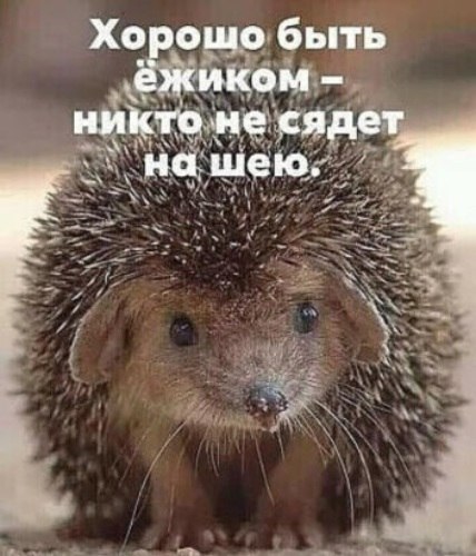   ! - 30  2021  23:50