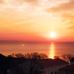 ���� �����, ��������, 67 ��� - ��������� 19 ������ 2021