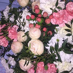 ������, ���������, 38 ���