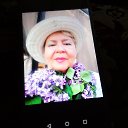 ���� �������, ������ - ��������� 23 ��� 2021 � ������ ���� ����������