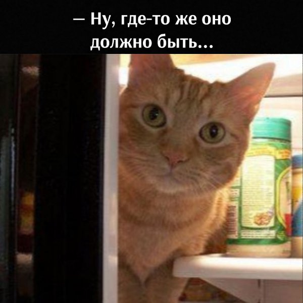       - 5  2021  19:26 - 4