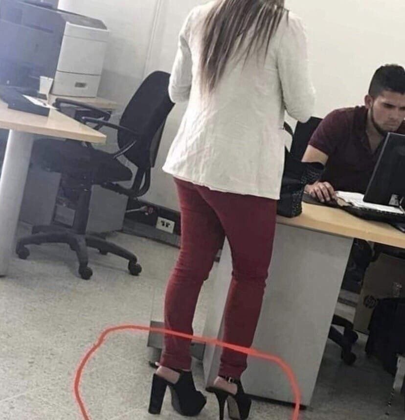 ������ �� ��������, ��� ���� ���� �� ��������