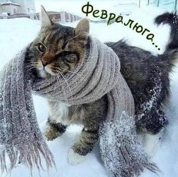 Ушел январь, ни с кем не попрощавшись, Когда не спали только фонари, Обветренный метелью, отощавший, ...