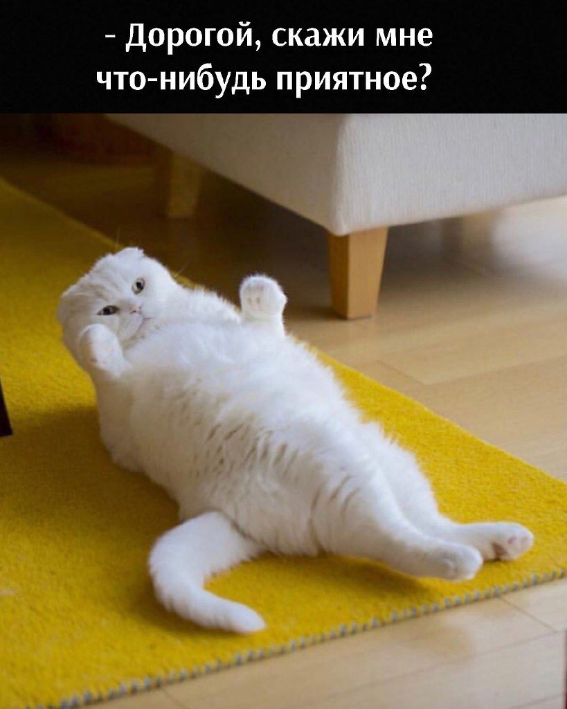       - 16  2021  09:14