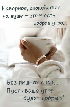   ! - 8  2021  06:13