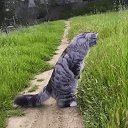 ���� ��������, ��������, 64 ���� - ��������� 28 ������� 2021 � ������ �������� ��������