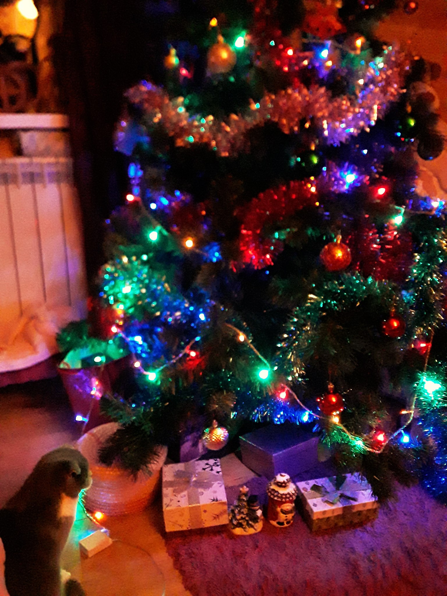   2022  !          ,   , ... - 4