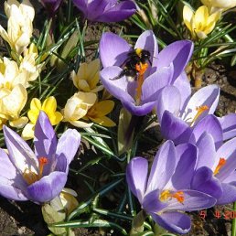 ������, ������, 29 ���