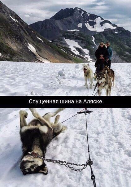  . - 7