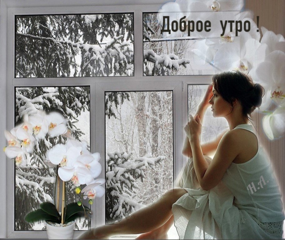   ,    . - 16  2021  07:06 - 7