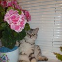 ���� ������, ��������, 46 ��� - ��������� 31 ��� 2021