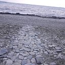  , , 52  -  8  2021    