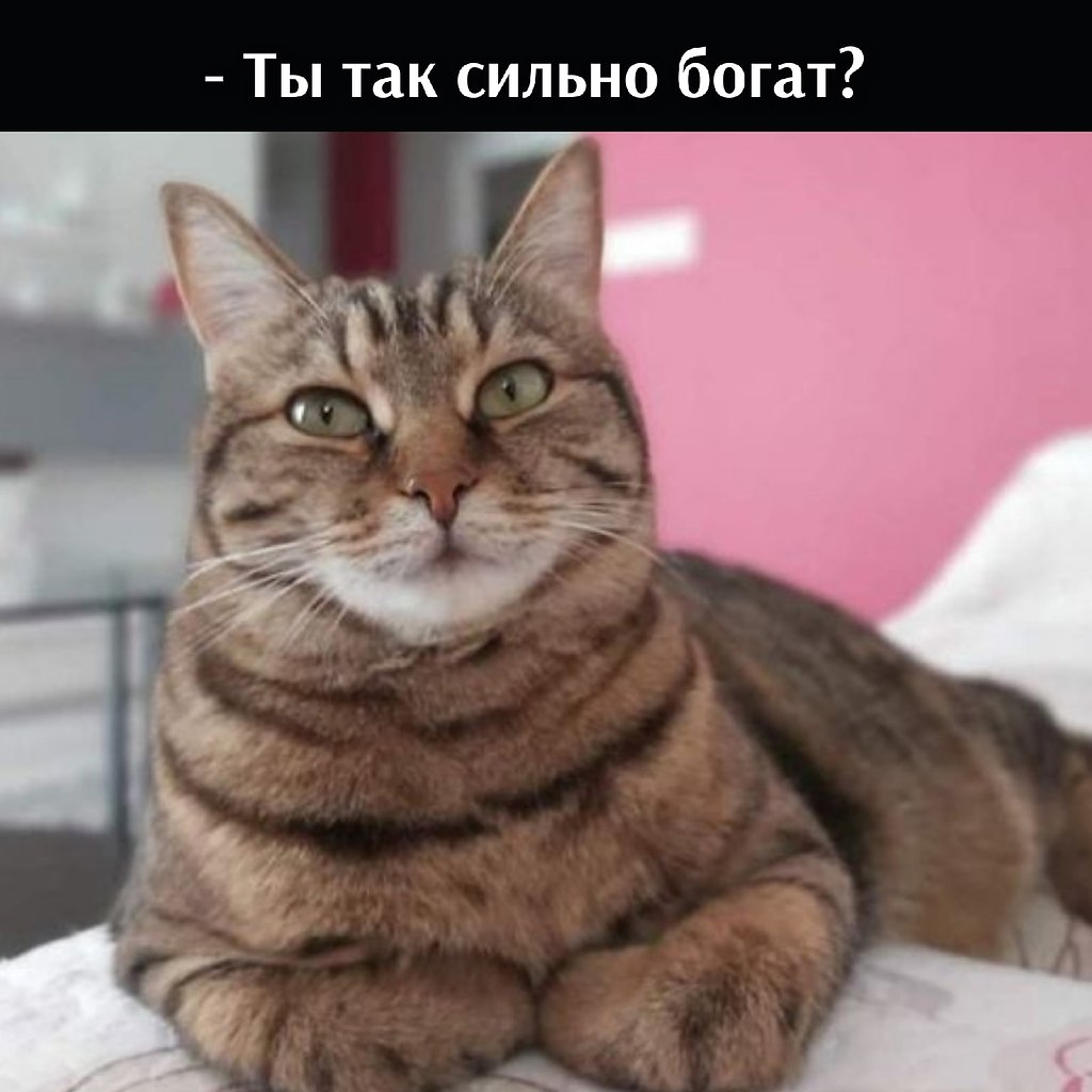       - 9  2021  13:20 - 2