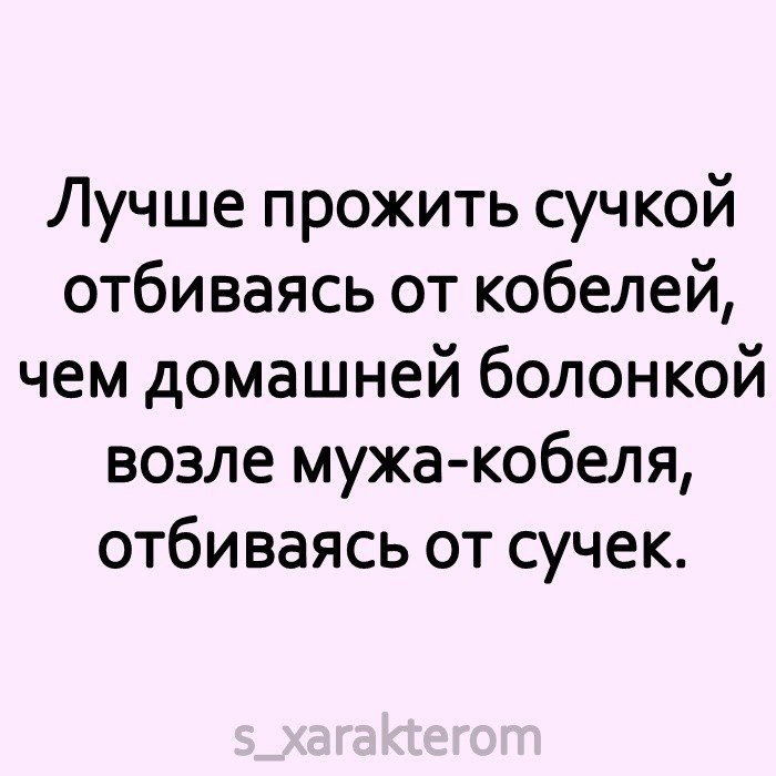 Я не стерва, это нервы© Статусы - 6 июля 2021 в 15:32