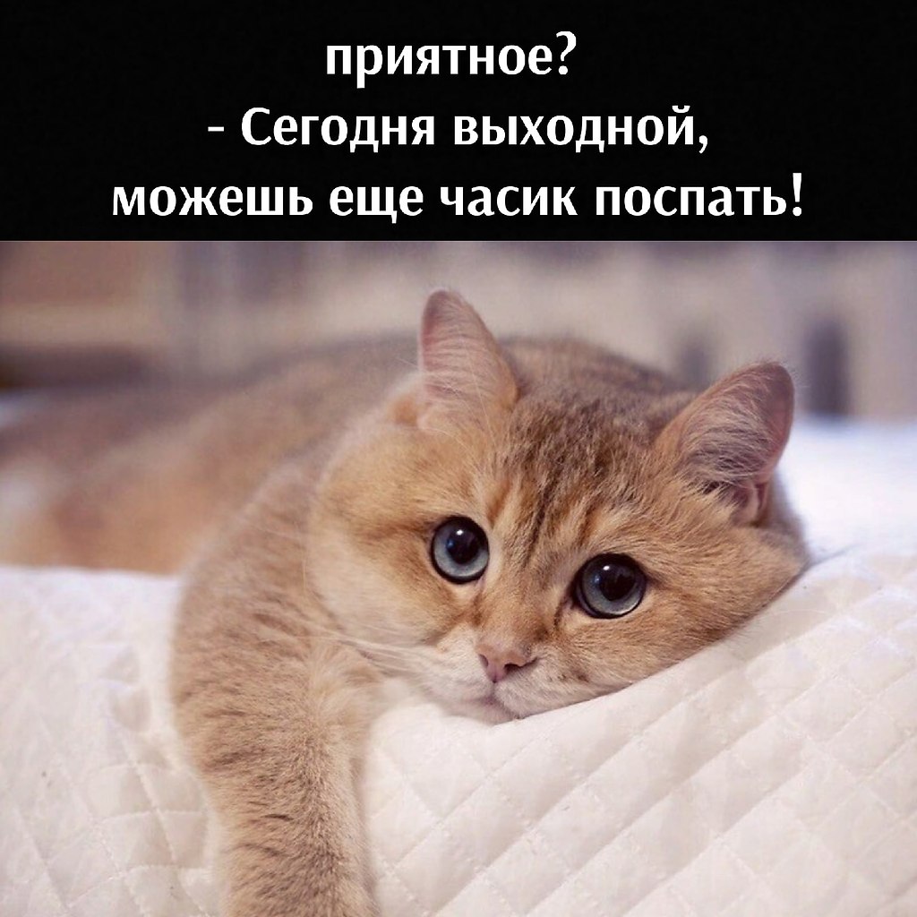       - 16  2021  09:14 - 2