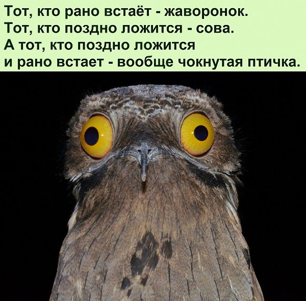   :D - 9  2022  08:17