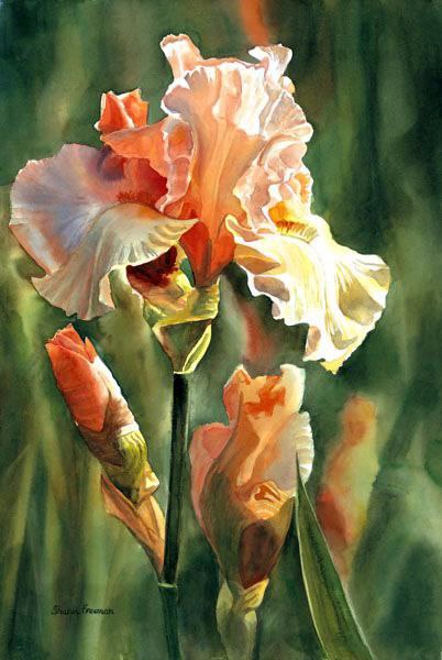   Sharon Freeman - 3
