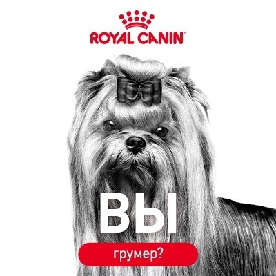  Royal Canin         .   ...