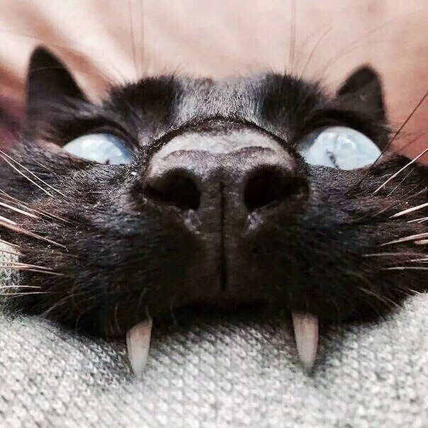 a ...
