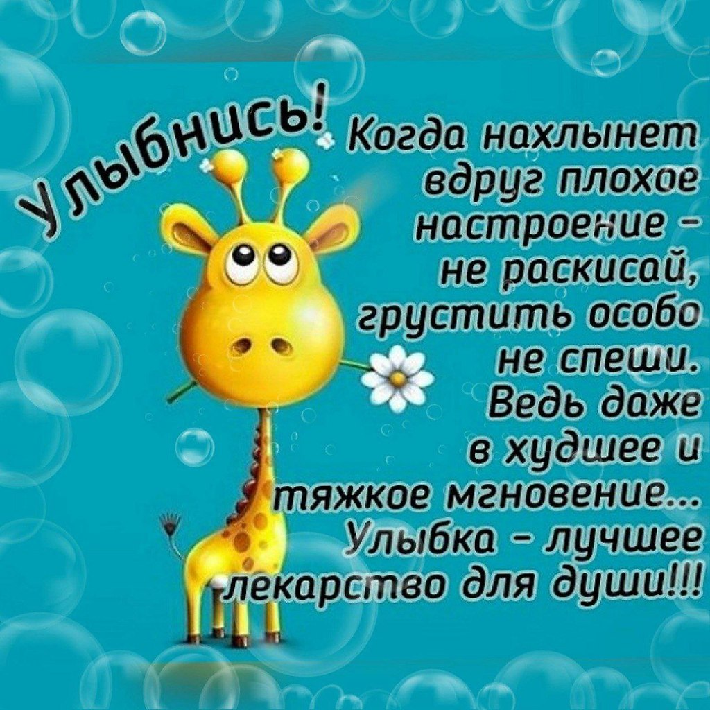   ,    . - 18  2021  09:59