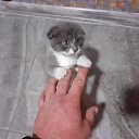 ���� ��������, ������ - ��������� 23 ������ 2021 � ������ ���� ����������